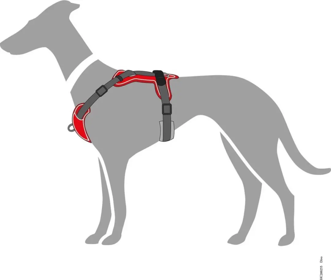 Hunter Harnas Divo M 56-73cm - Rood&Grijs