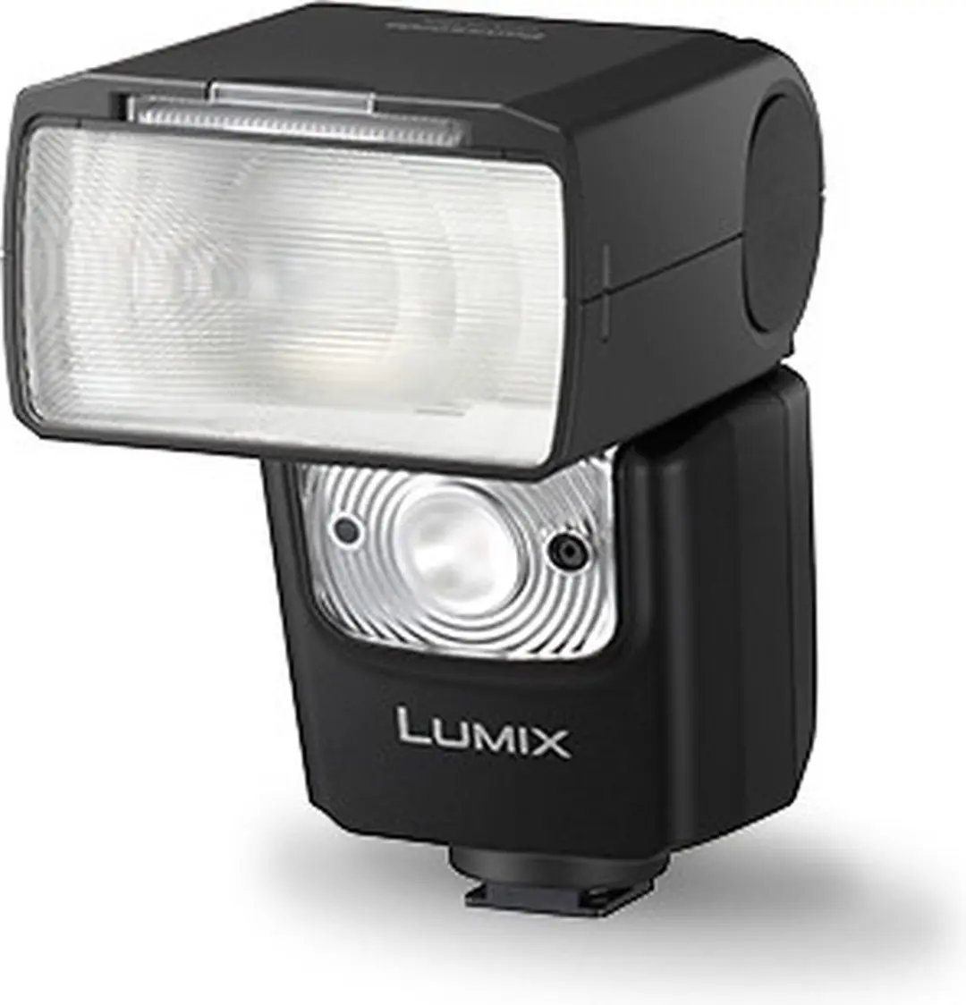 Panasonic DMW-FL580LE Flitser - Zwart
