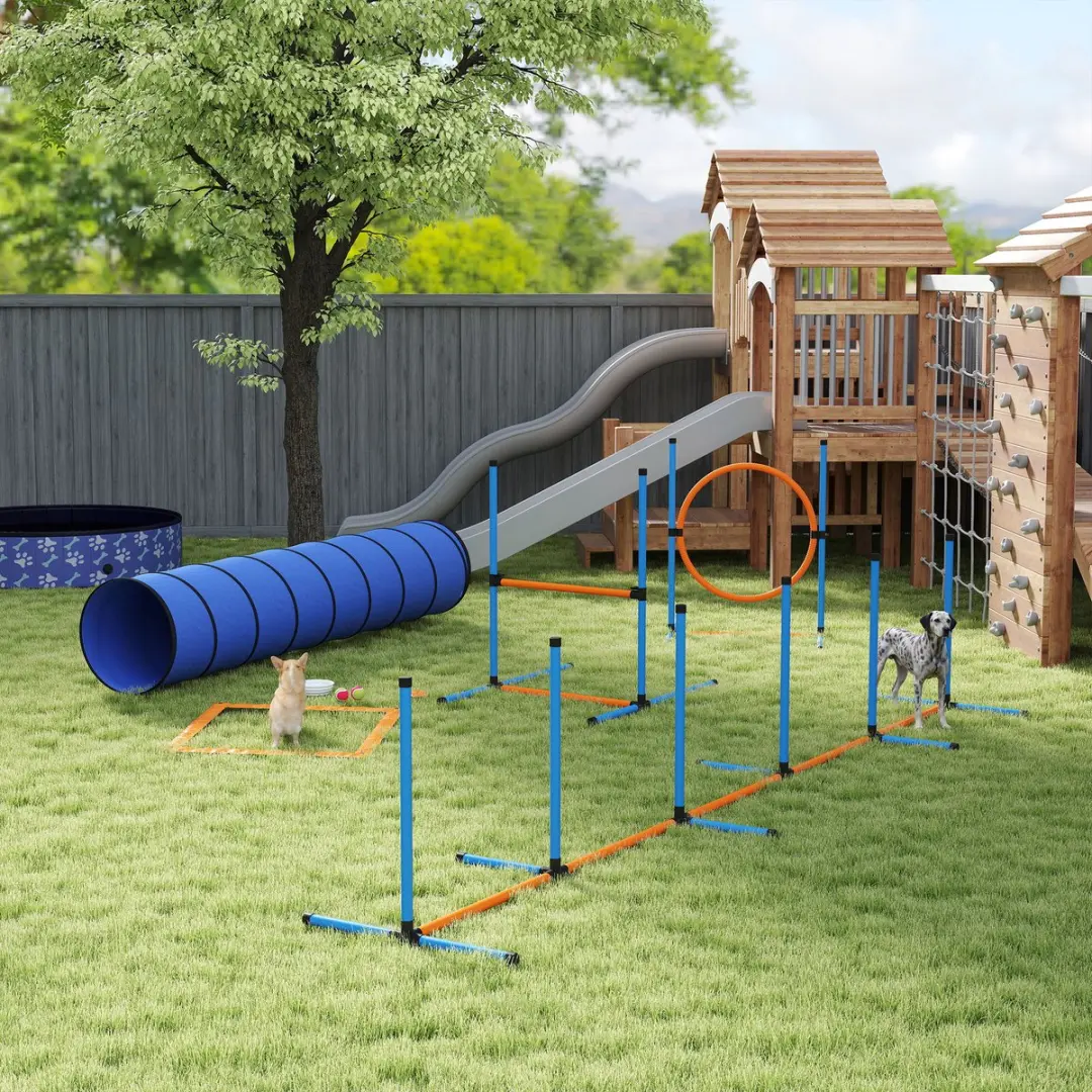 Pawhut Pet Agility Set - 350x68x70cm - Orange