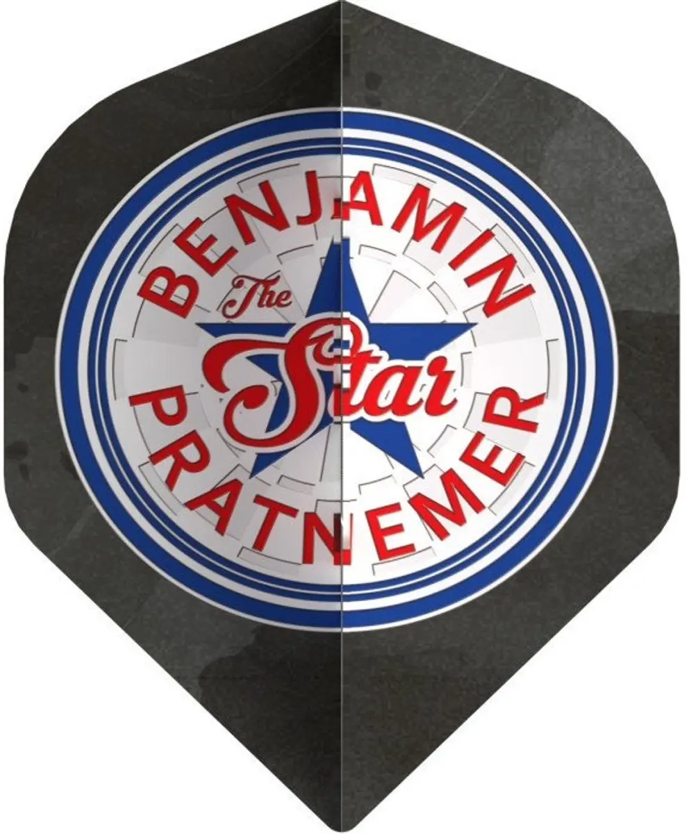 Bull's Benjamin Pratnemer 90 Grey NO2 Dart Flights