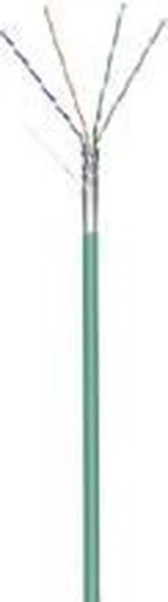 Wentronic DSIT 111116 Netwerkkabel 100m - Groen