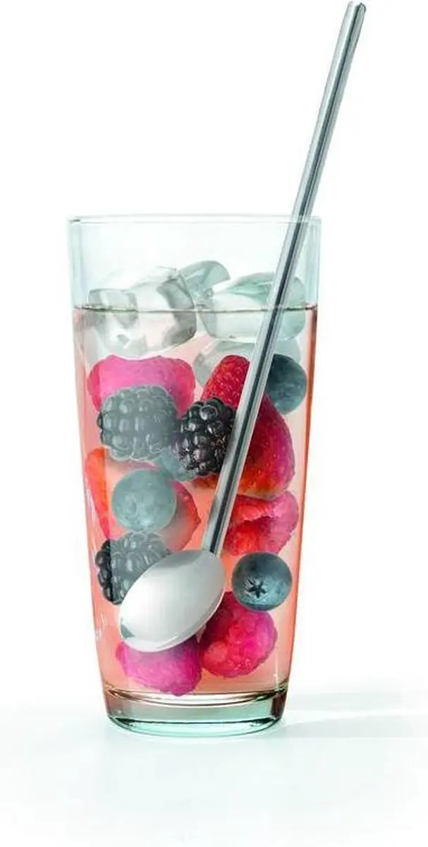 Metaltex Cocktaillepel Rietjes Set RVS - 5-delig - Zilver