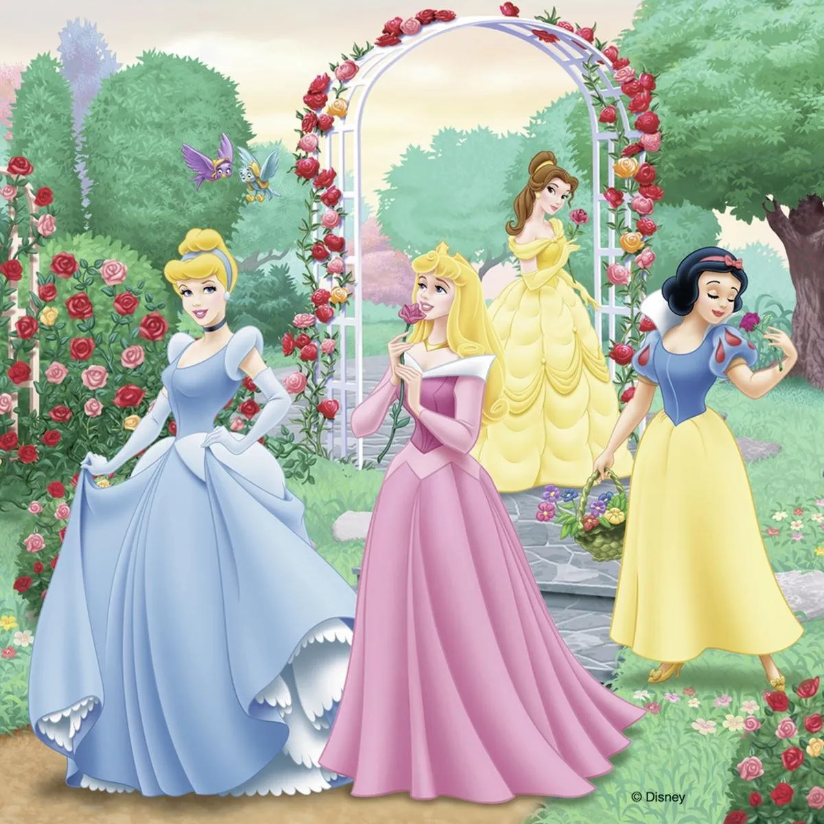 Ravensburger Disney Princess Prinsessendroom 3x49 Puzzels - Multicolor