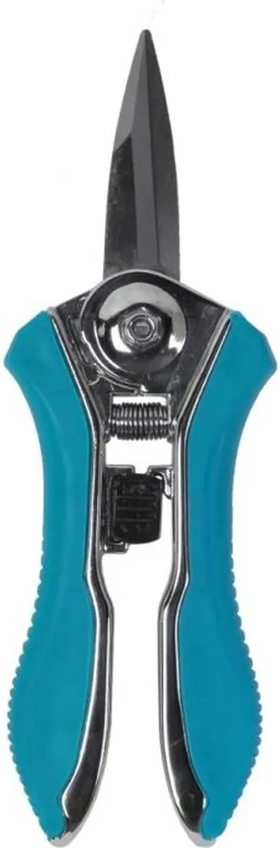 Talen Tools Bloemenschaar Koolstofstaal - Blauw