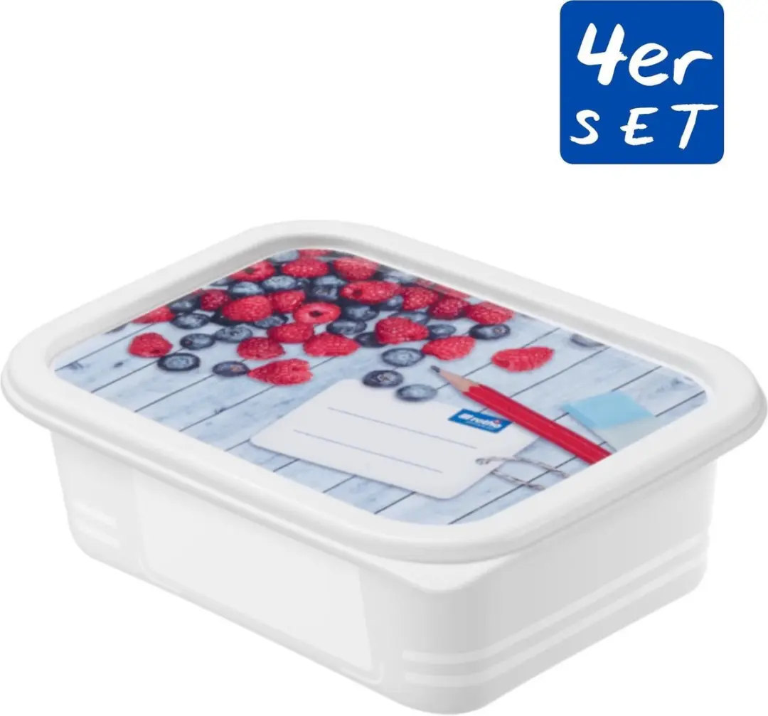 Rotho Domino Diepvriesdozen 4x0.5L - Wit