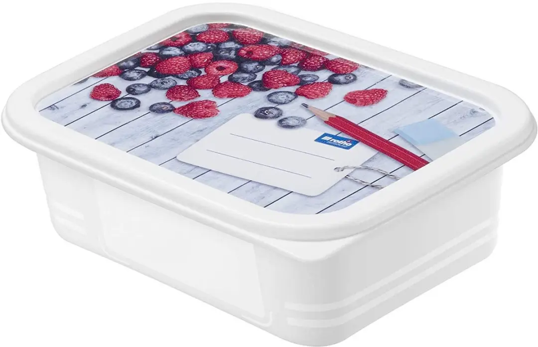 Rotho Domino Diepvriesdozen 4x0.5L - Wit