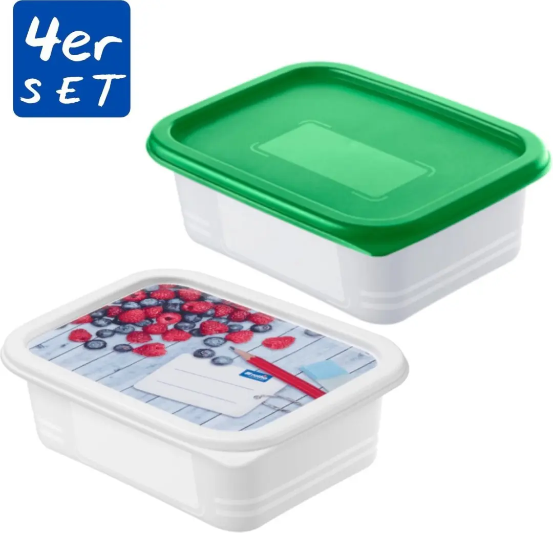 Rotho Domino Diepvriesdozen 4x0.5L