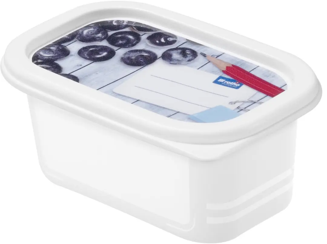 Rotho Domino Diepvriesdozen 4x0.2L - Wit