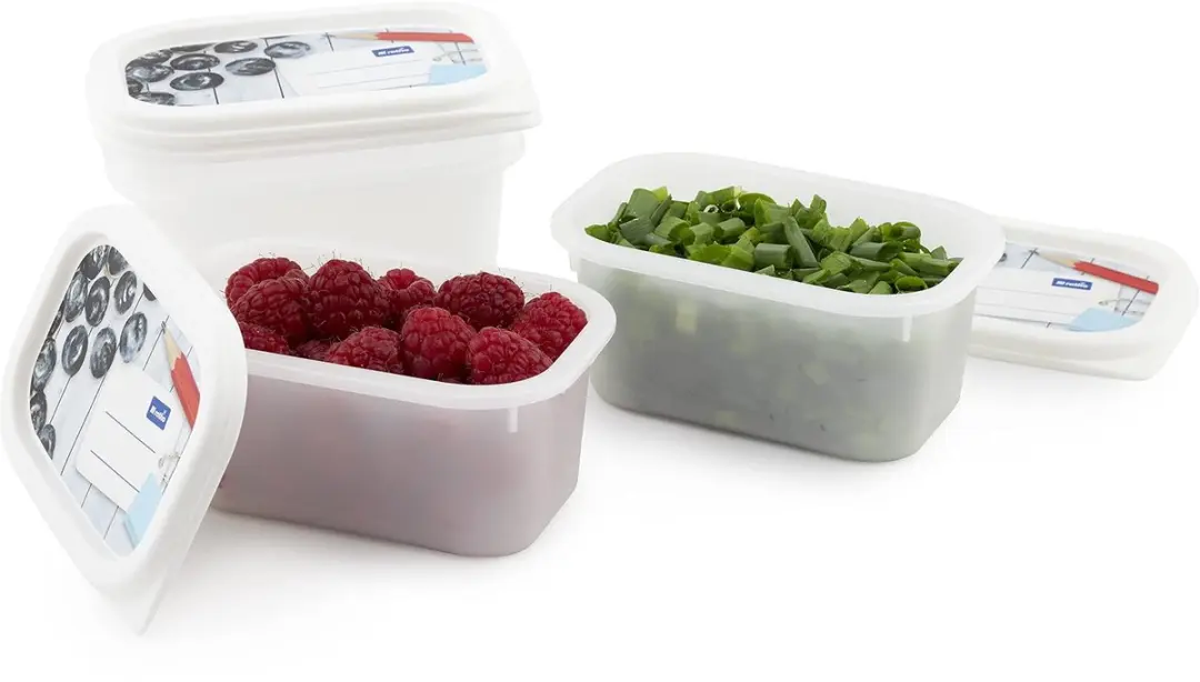 Rotho Domino Diepvriesdozen 4x0.2L - Wit