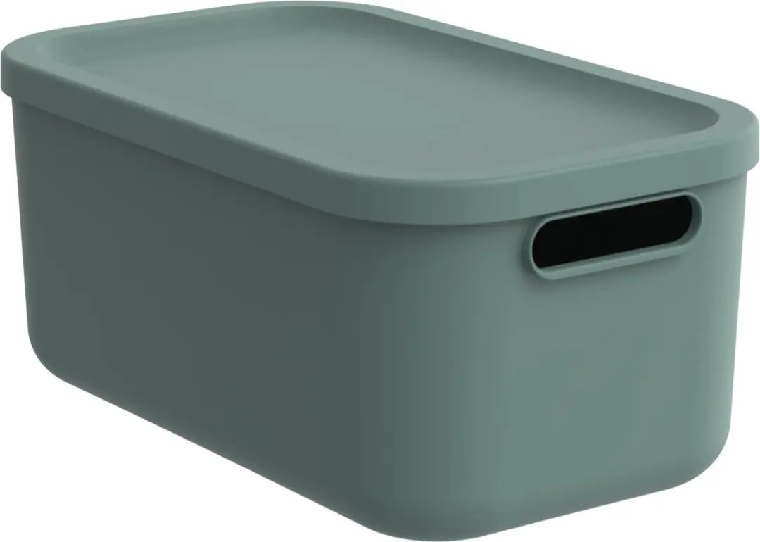 Rotho Albula Light Decoratieve Opbergbox 12L
