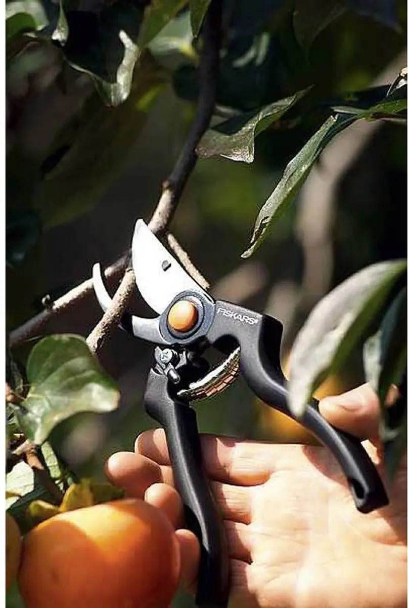 Fiskars Snoeischaar Pro P90 - 23 cm