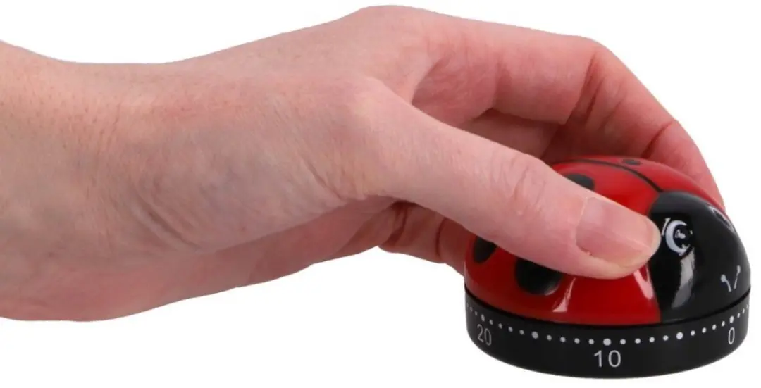 Patisse Kookwekker Lieveheersbeestje - 6cm - Rood/Zwart