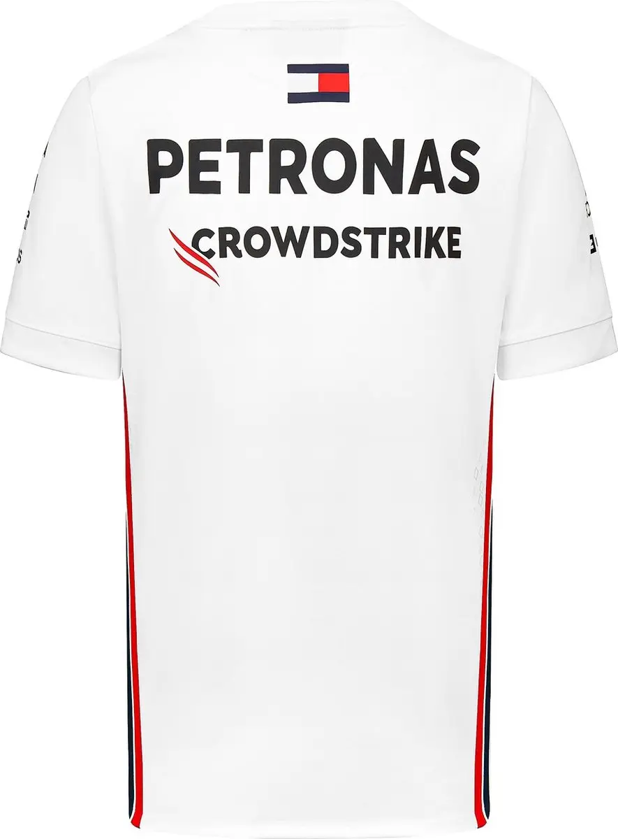 Mercedes-AMG Petronas Team Driver Tee - L - Multicolor