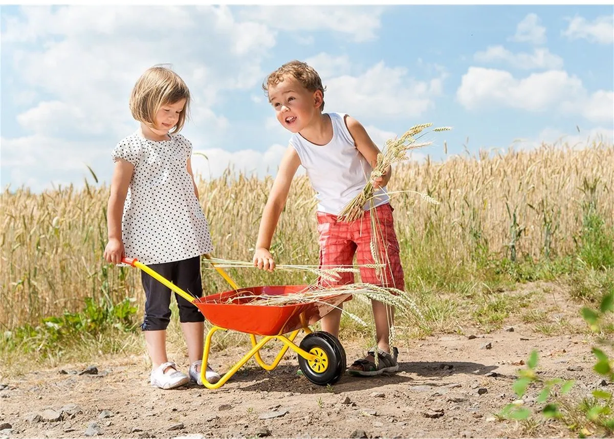Rolly Toys Metalen Kruiwagen - Rood