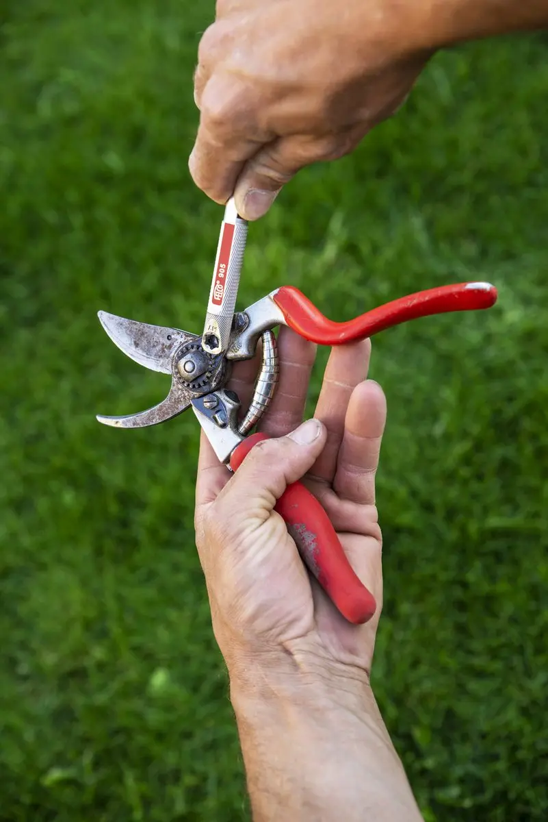 Felco 905 Snelle Slijper - Rood/Zilver