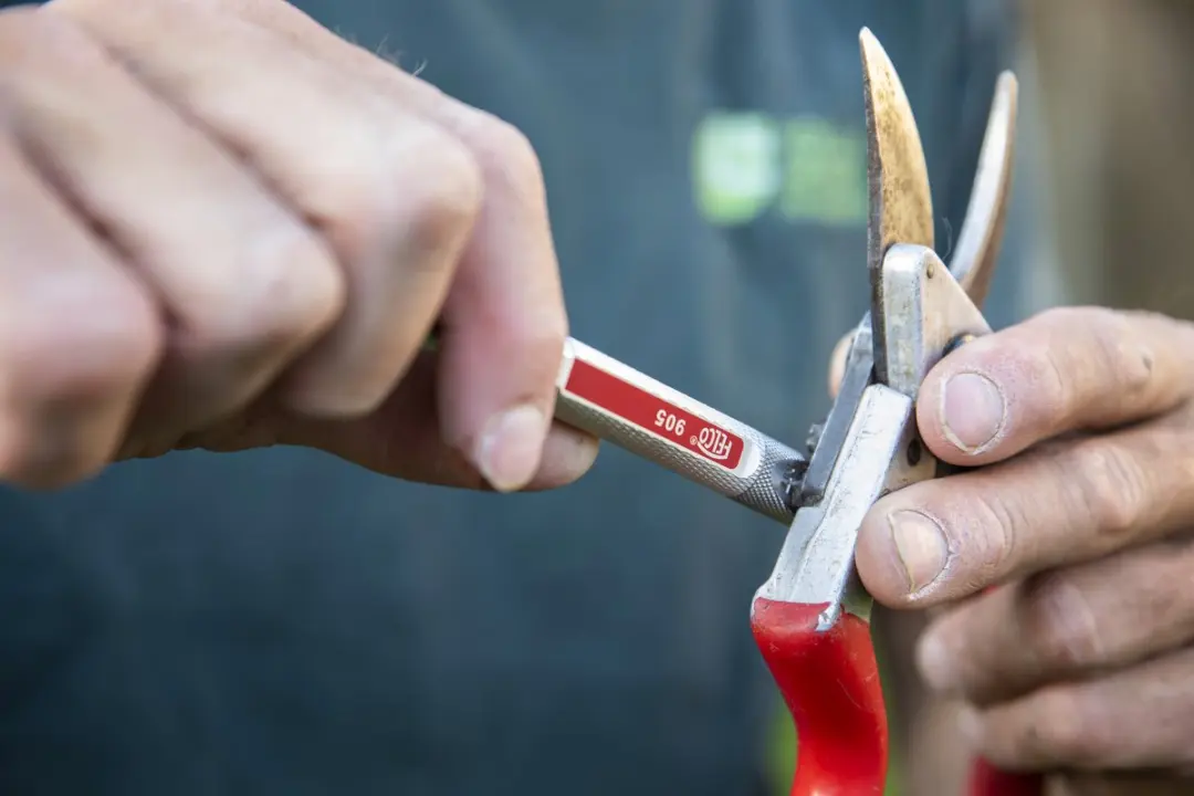 Felco 905 Snelle Slijper - Rood/Zilver - afbeelding 6 van 6