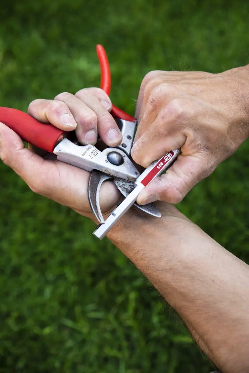 Felco 905 Snelle Slijper - Rood/Zilver