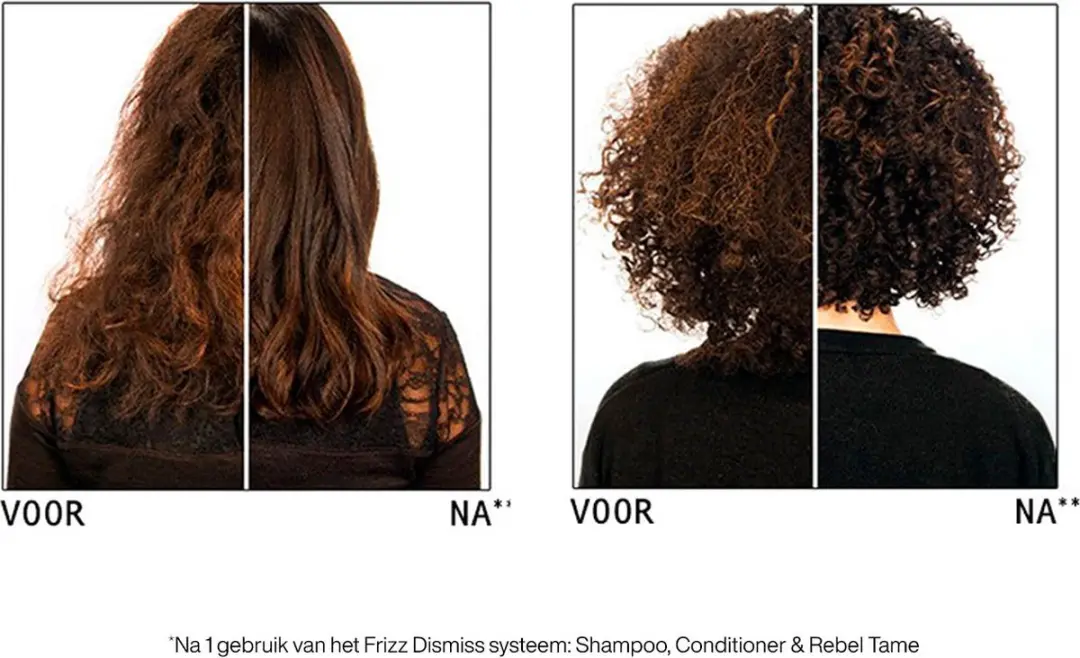 Redken Frizz Dismiss Anti Static Oil Mist Haarspray 125ml