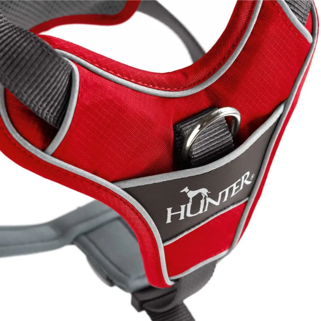 Hunter Harnas Divo 34-47cm - Rood&Grijs