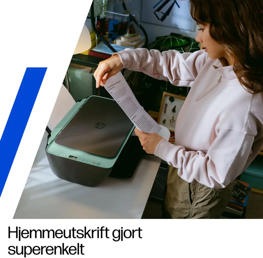 HP DeskJet 2923 89F99B All-in-One Printer - Grijs/ Groen