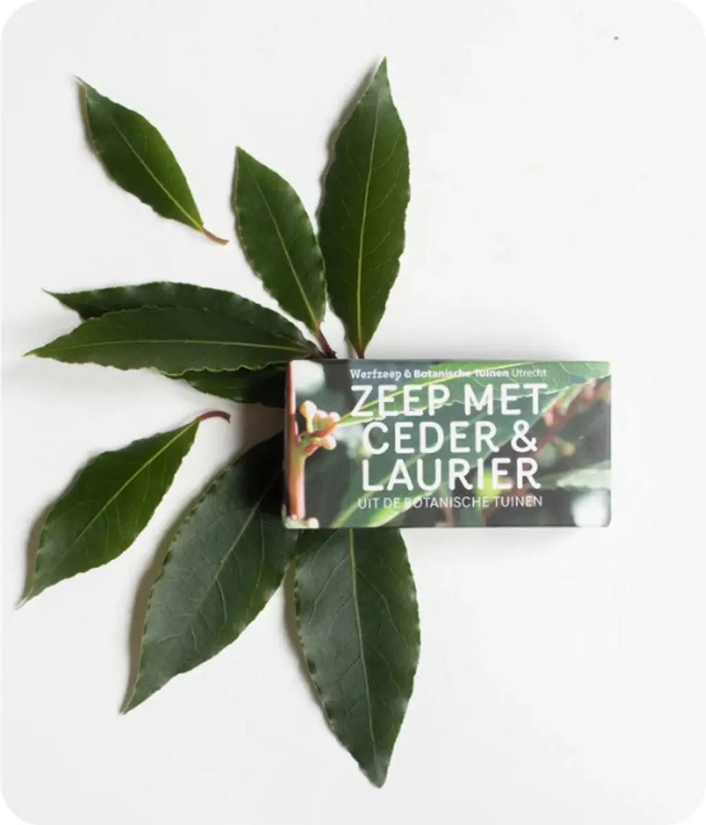 Werfzeep Botanische Tuinen Ceder & Laurier Zeep 100g