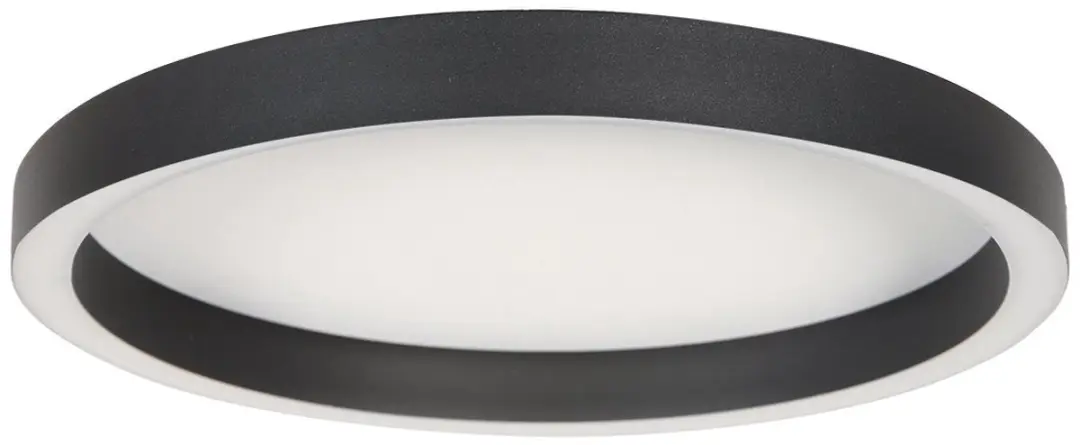 Steinhauer Ringlux 4135ZW Plafondlamp Ø40cm
