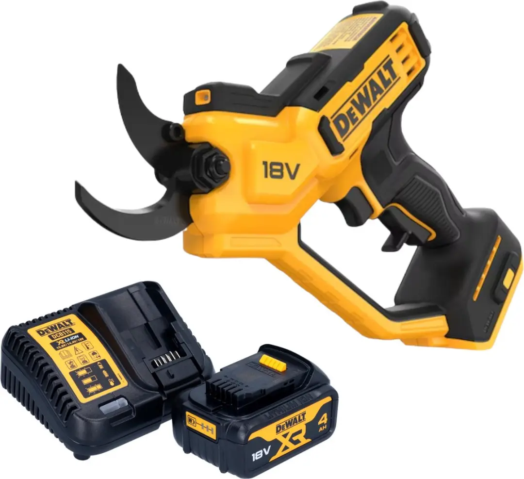 DeWalt DCMPP 568 M1 Takkenschaar 18V