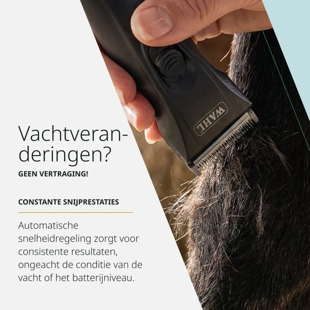 Wahl Arco Pro Draadloze Tondeuse - Grijs - afbeelding 6 van 6