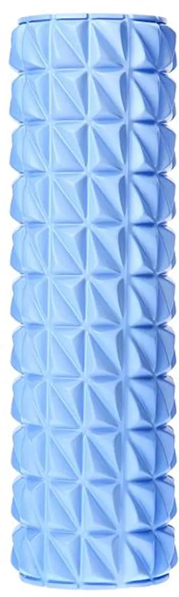 HMS FS205 Fitness Roller - Blauw