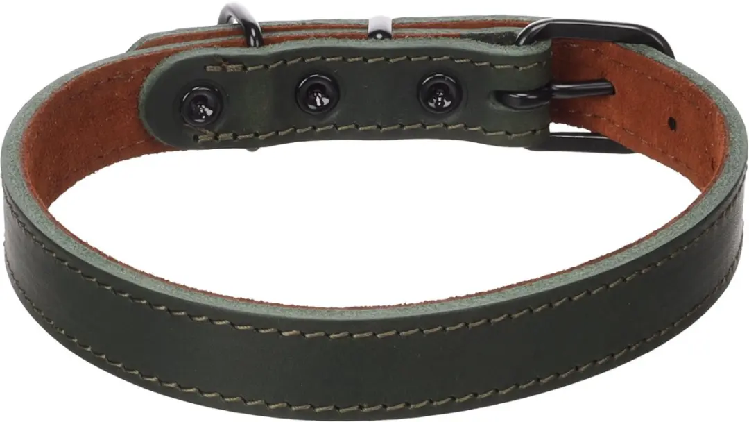 Flamingo Montana Halsband - Groen - M