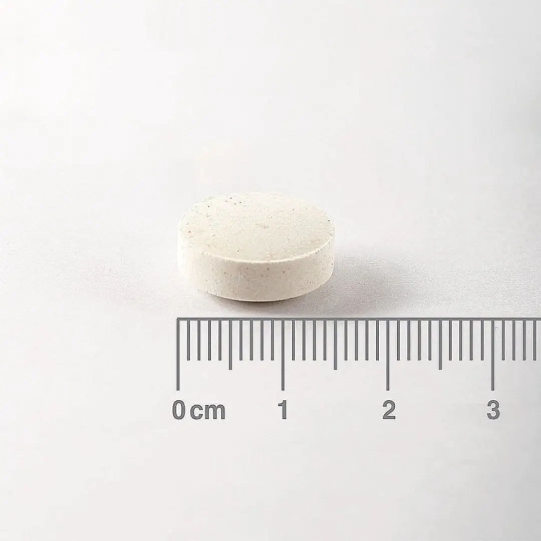 Lamberts Zink Plus 100 Zuigtabletten
