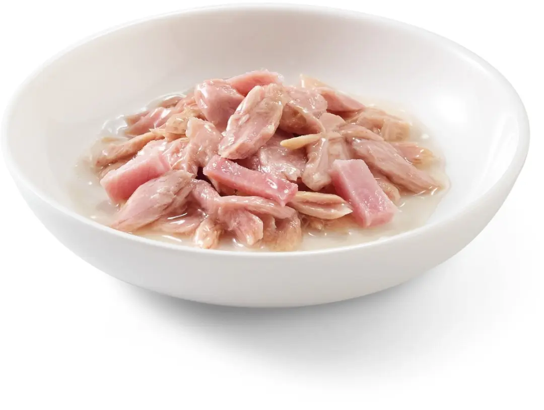 Schesir Kat Blik Gelei Tonijn & Ham 140g - afbeelding 6 van 6