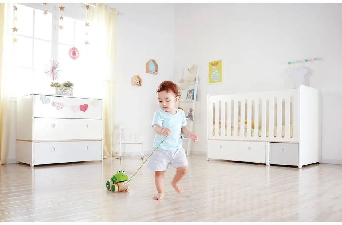 Hape Kikker Trekdier - 1 Stuk - Veelkleurig