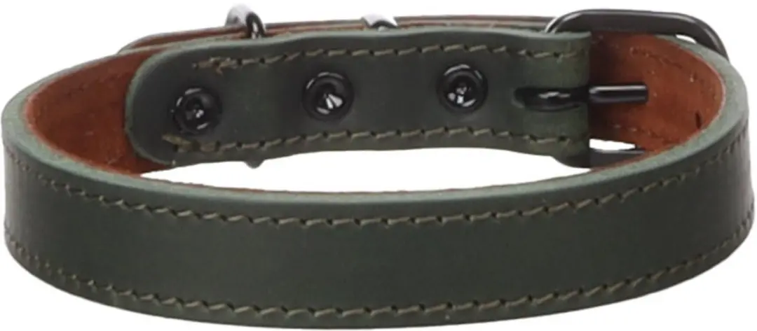 Flamingo Montana Hondhalsband Groen S/M 32-40cm
