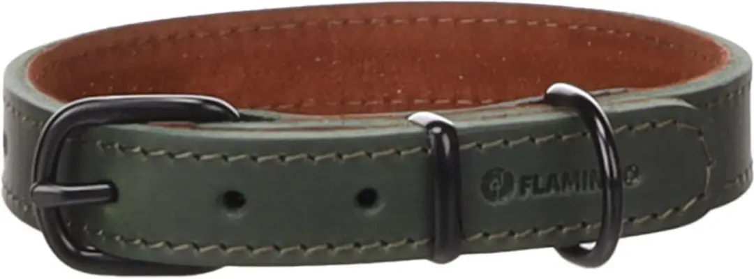 Hond Halsband Montana Groen S / M 32-40cm 20mm