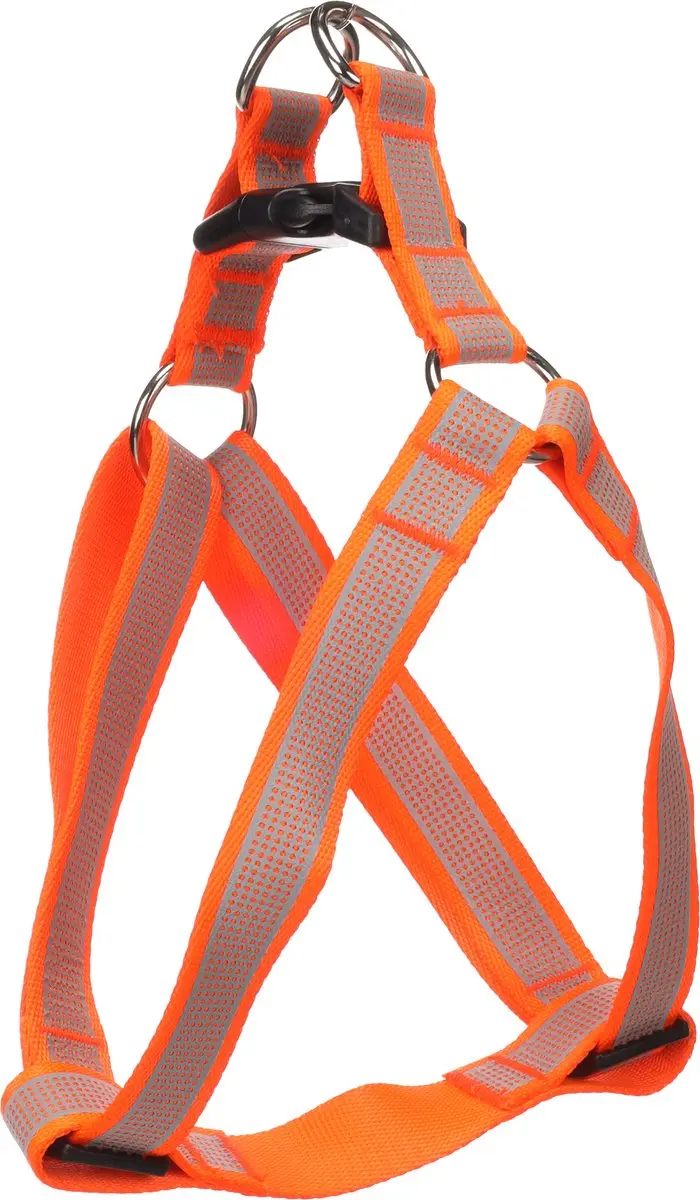 Hond Harnas Step&Go Fierro Fluo oranje L 40-70cm 40-70cm 25mm