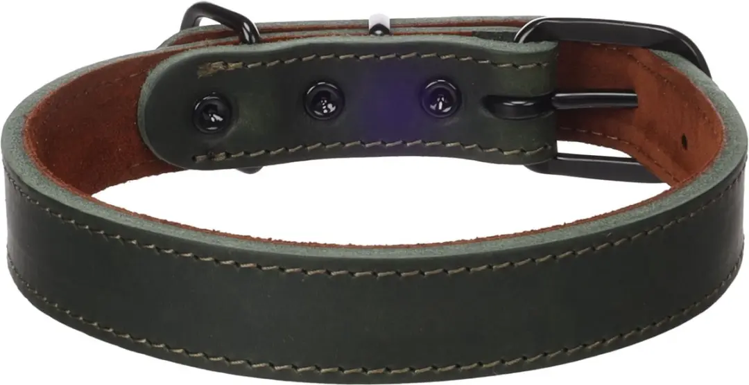 Flamingo Montana Halsband - Groen M/L 38,5-48,5cm