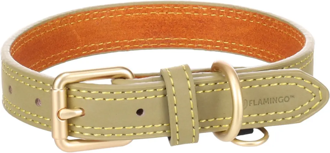 Flamingo Hond Halsband Virginia Groen