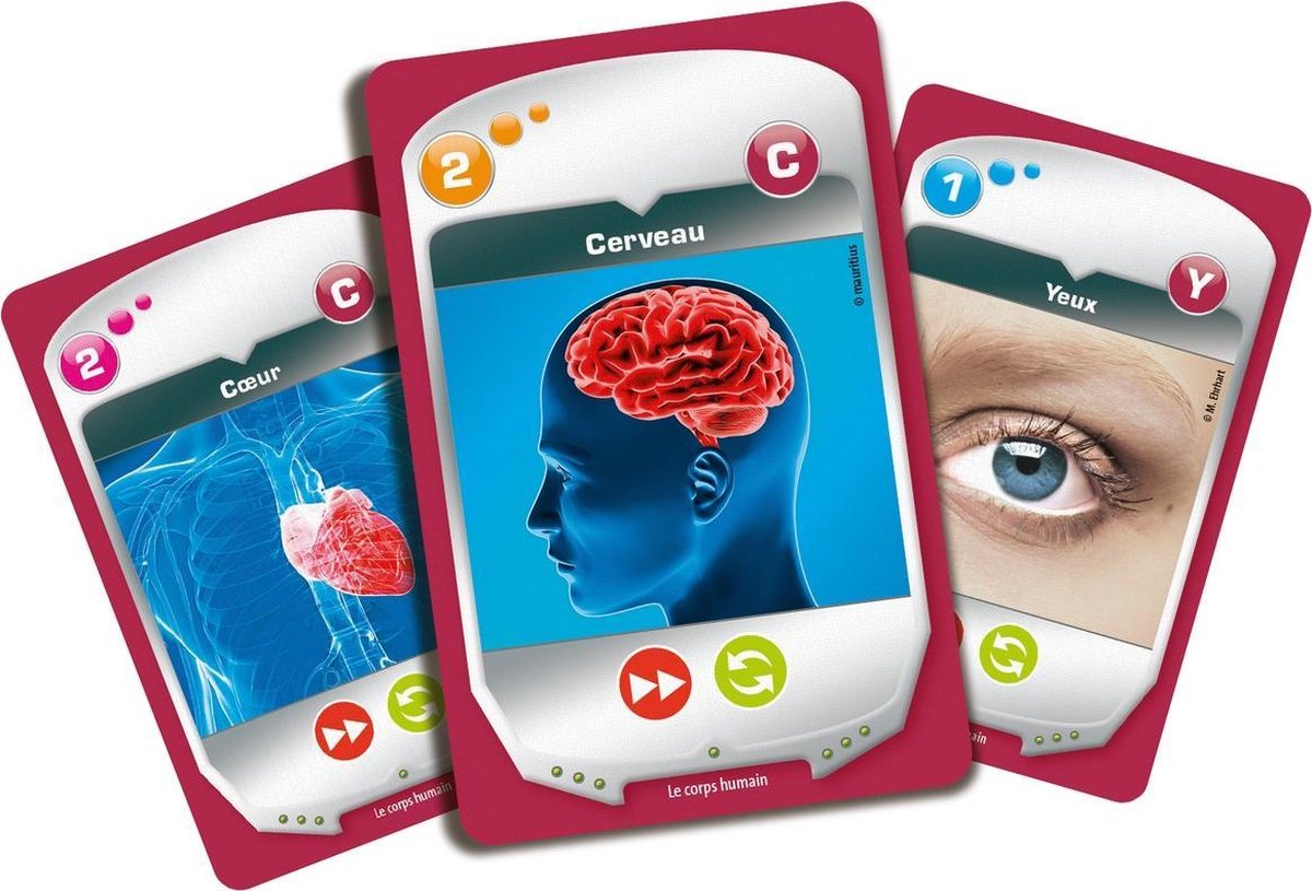 Educatief spel voor kinderen Ravensburger The Human Body (FR)