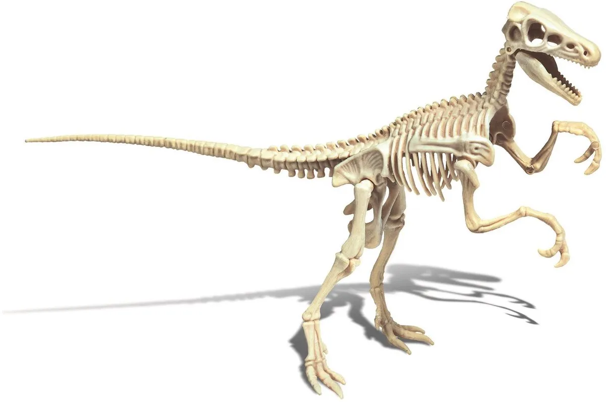 Clementoni Archéo Ludic Vélociraptor - Multicolor - afbeelding 6 van 6