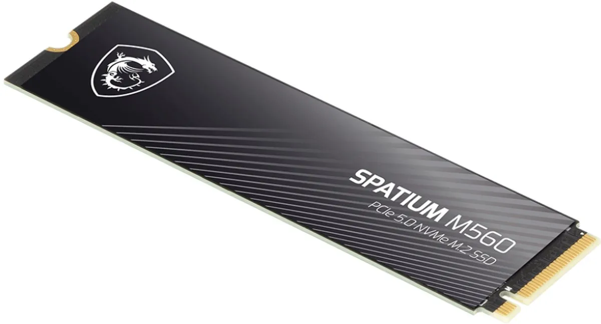 MSI SPATIUM M560 S78-440Q940-P83 NVMe M.2 SSD 2TB