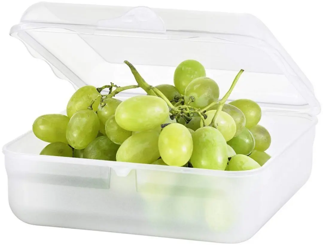 Rotho Fun Lunchbox Transparant 2.35L