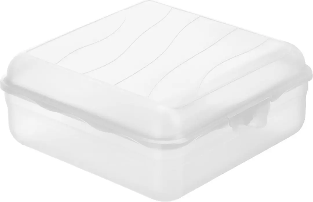 Rotho Fun Lunchbox Transparant 2.35L