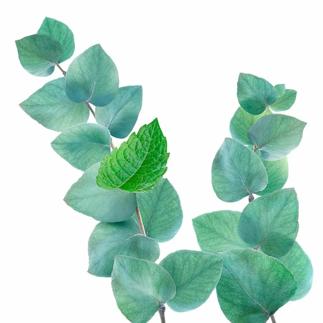 Kneipp Badschuim Mint Eucalyptus 400ml - 6 Stuks