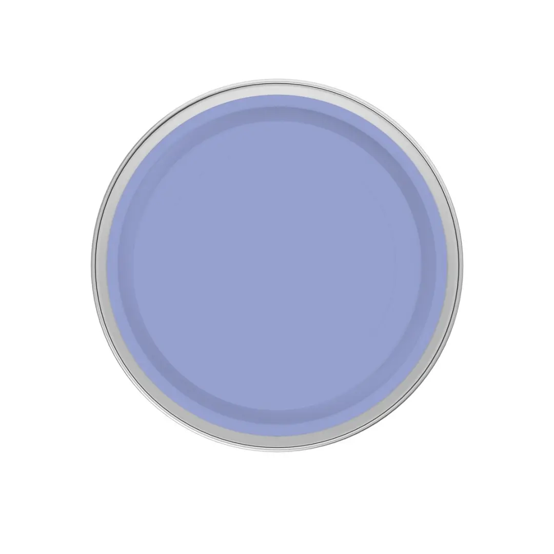 Levi's Easyclean Tegen Zwarte Strepen Mix 5L - Clear Purple B50