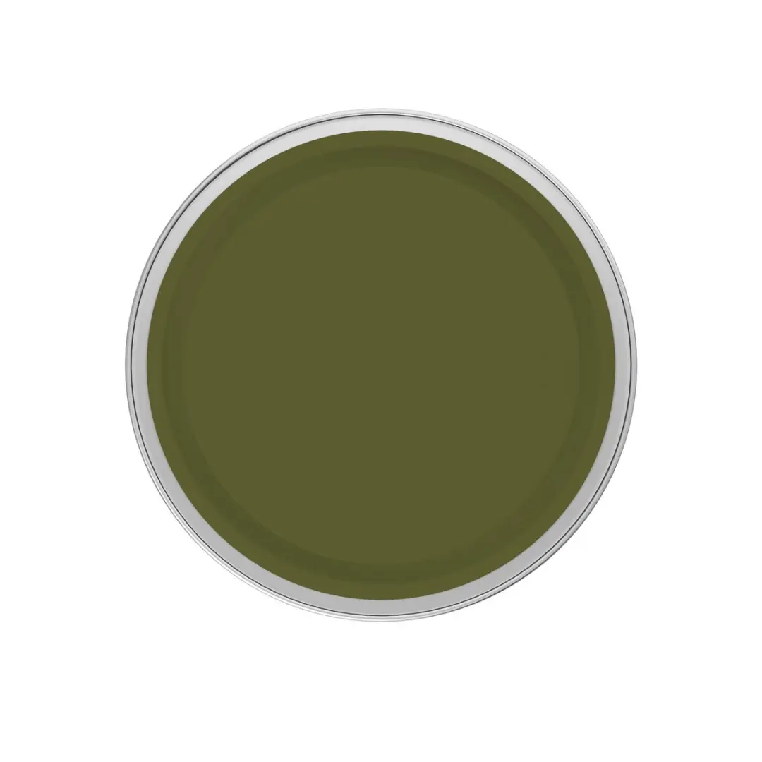 Levi's Easyclean Tegen Zwarte Strepen Mengverf 5L - Shady Green A80