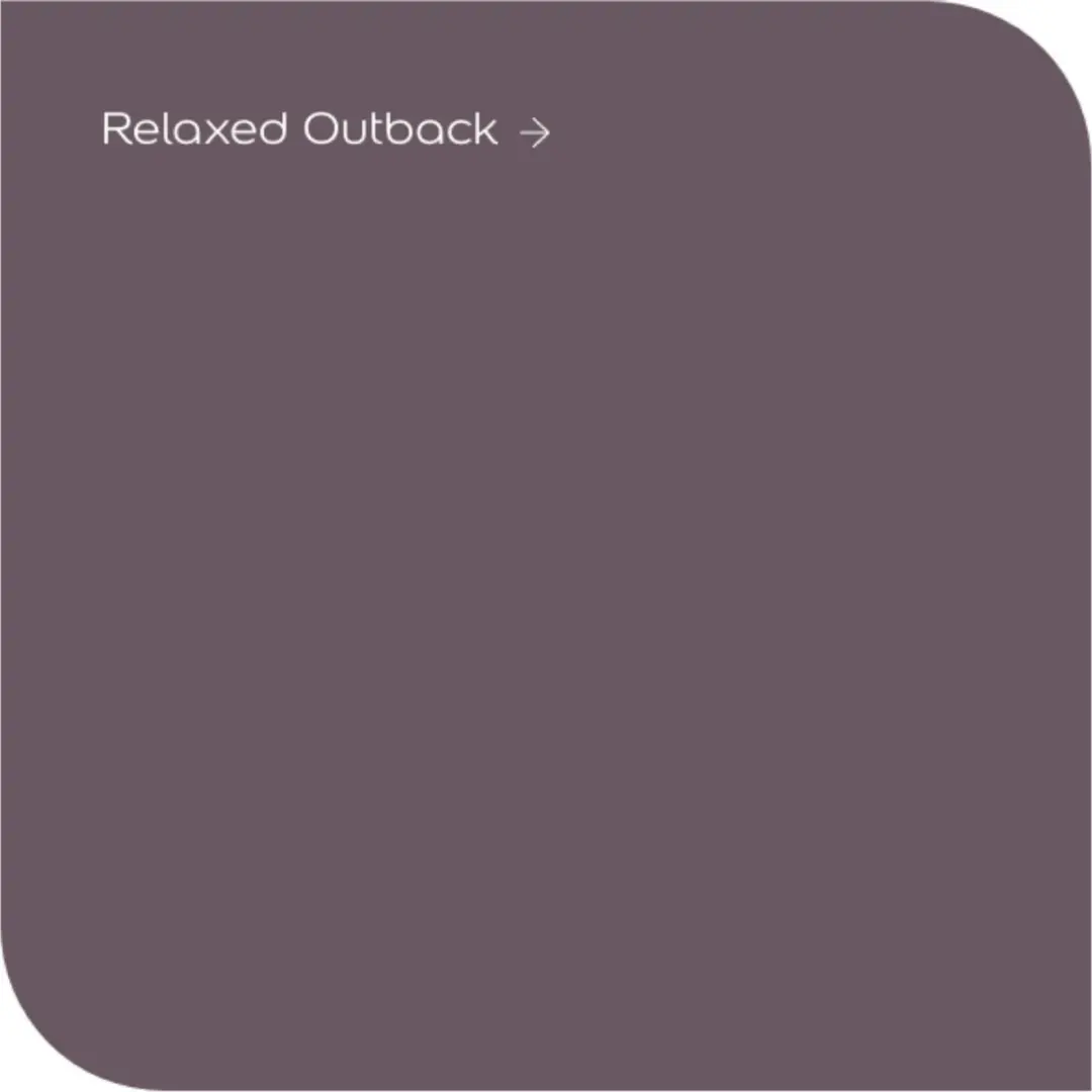 Levi's Colores del Mundo Relaxed Outback Muurverf - 2,5 liter