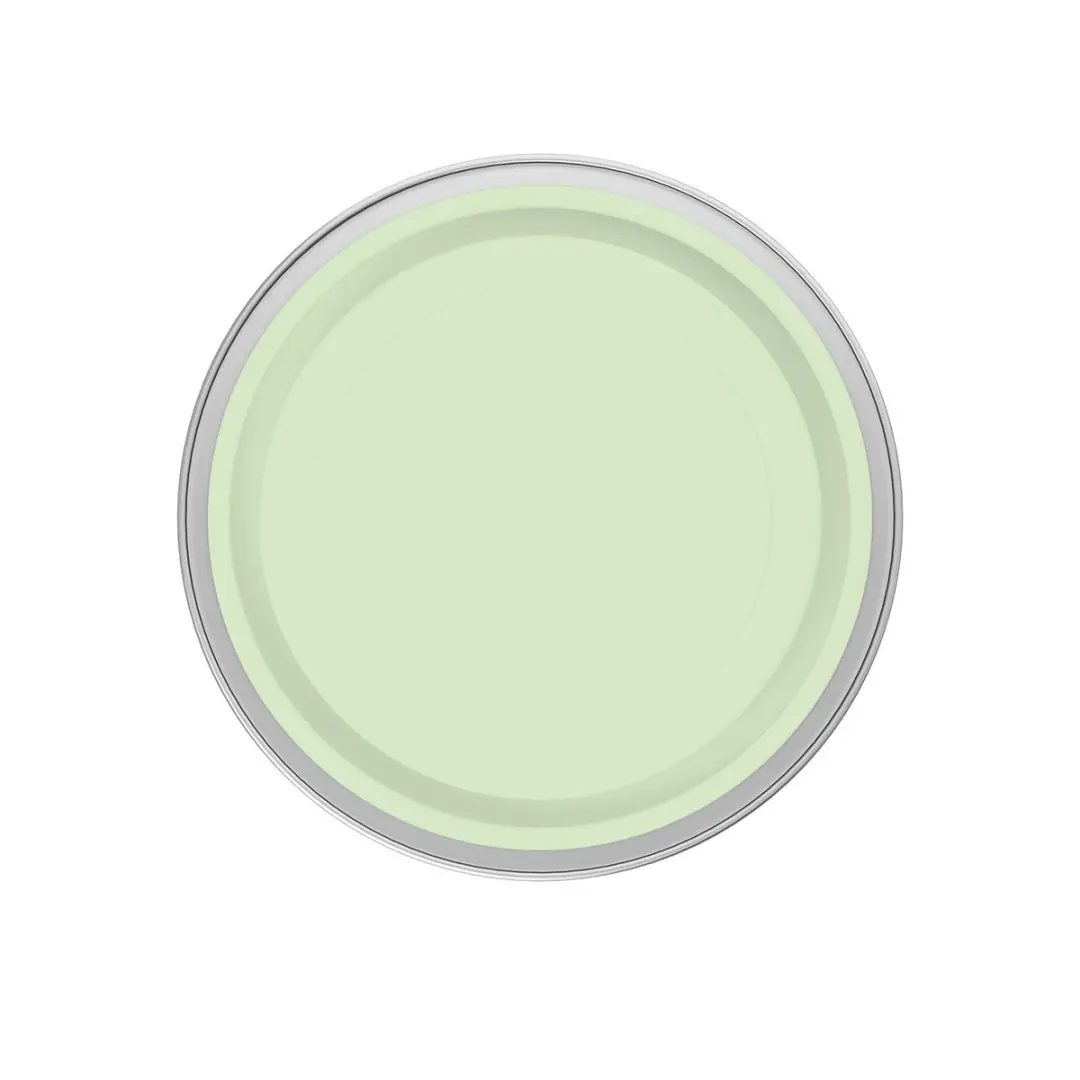 Levi's Easyclean Tegen Zwarte Strepen Mix 5L - Clear Green C20