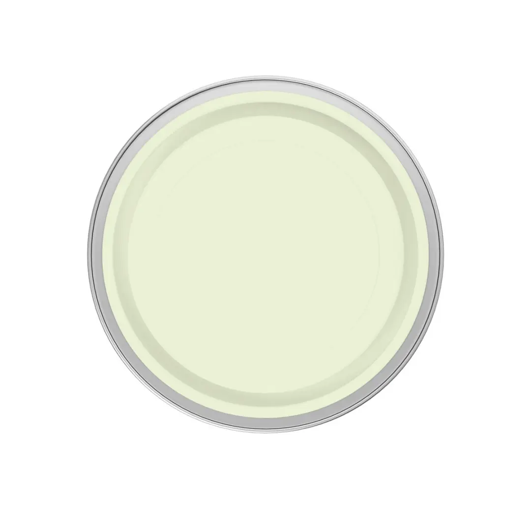 Levi's Easyclean Tegen Zwarte Strepen Mix 2,5L - Clear Green B20
