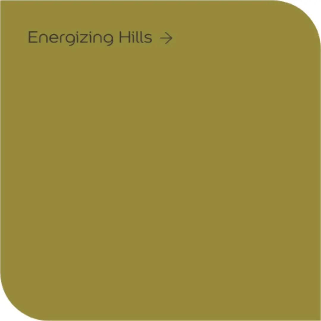 Levi's Colores del Mundo Energizing Hills Muurverf - 2,5 liter